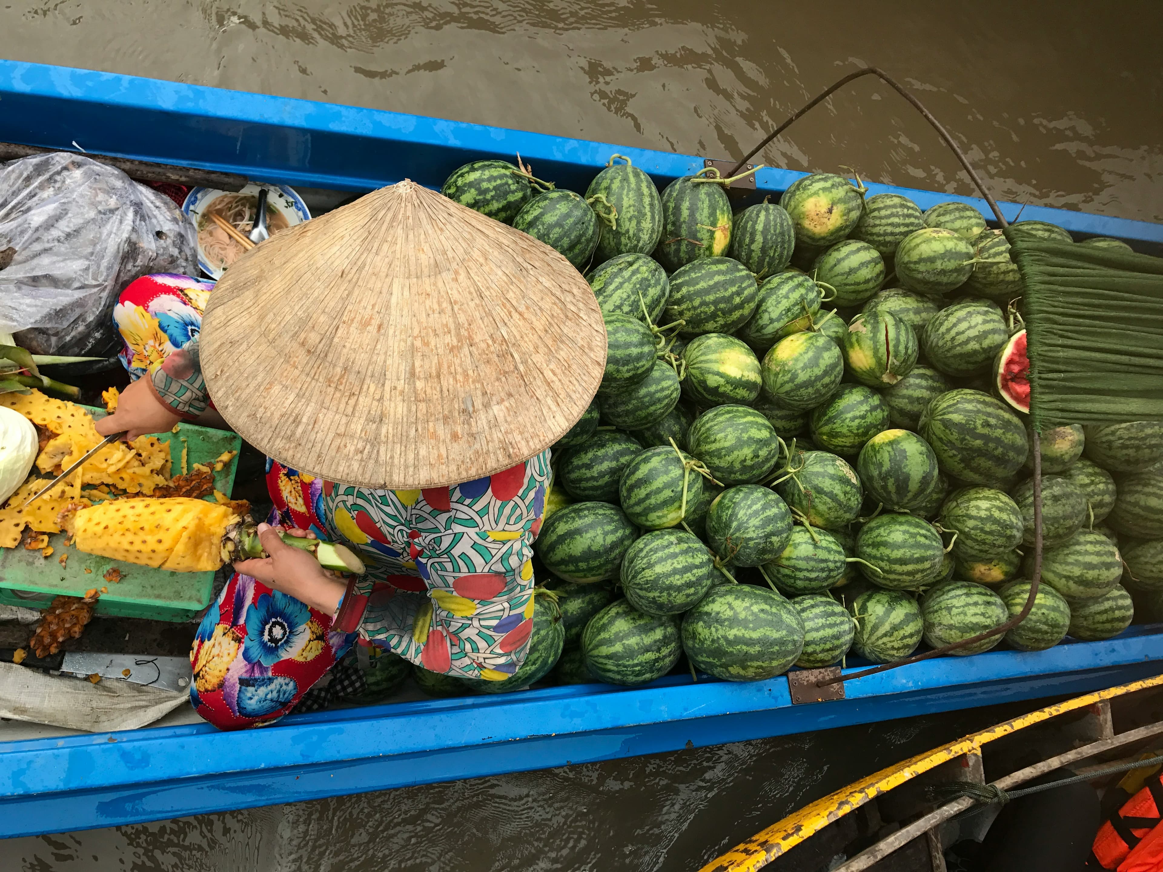MEKONG DELTA photo 2