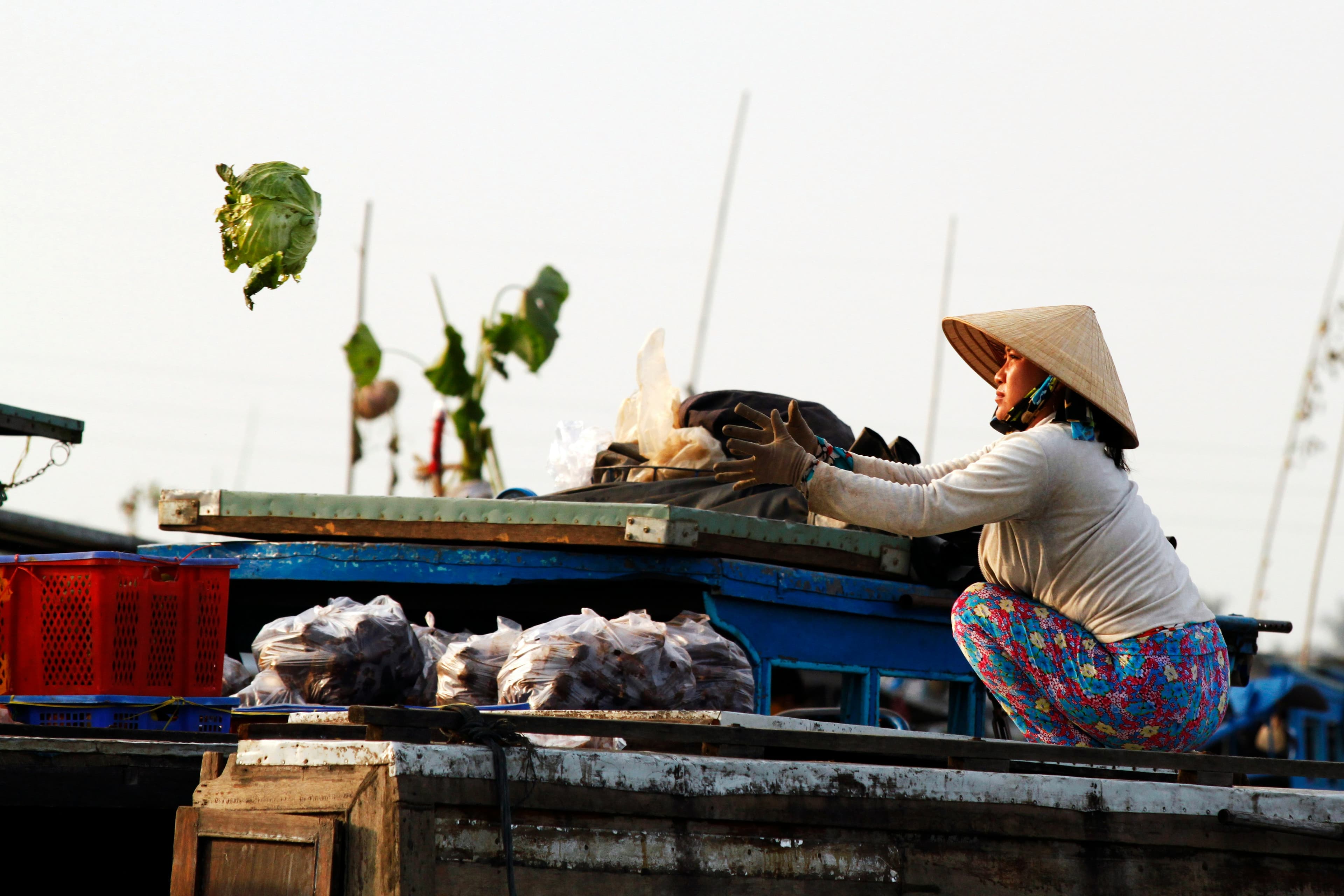 MEKONG DELTA photo 3